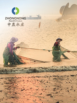 農(nóng)產(chǎn)品批發(fā)、農(nóng)產(chǎn)品市場(chǎng)投資管理、農(nóng)產(chǎn)品流通